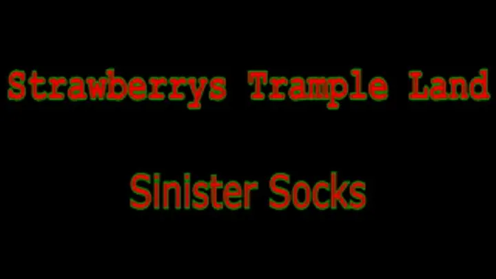 Strawberrys Trample Land