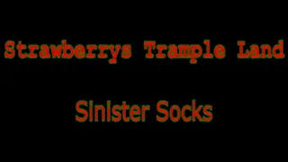 Sinister Socks