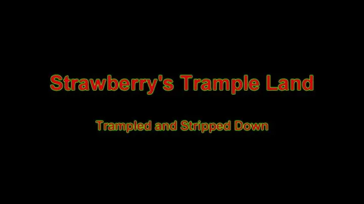 Strawberrys Trample Land