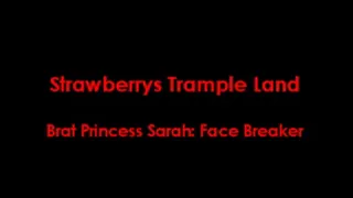 Brat Princess Sarah - Face Breaker