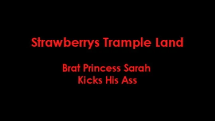 Brat Princess Sarah Kicks His Ass