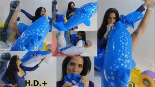 Vixen Mouth Inflates Dolphin *HIGH DEFINITION+* *SINGLE CAM*