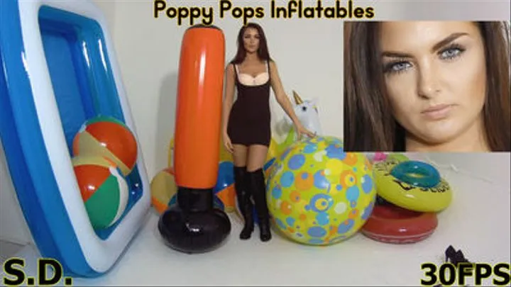 Poppy Pops Inflatables *SINGLE CAM* *30FPS*