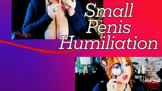 Big Titty Tease &amp; Small Penis Humiliation with Milf Samantha38g