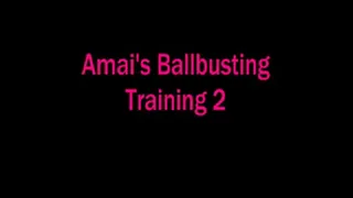 Ballbusting Training 2!
