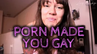 Porn Made You Gay