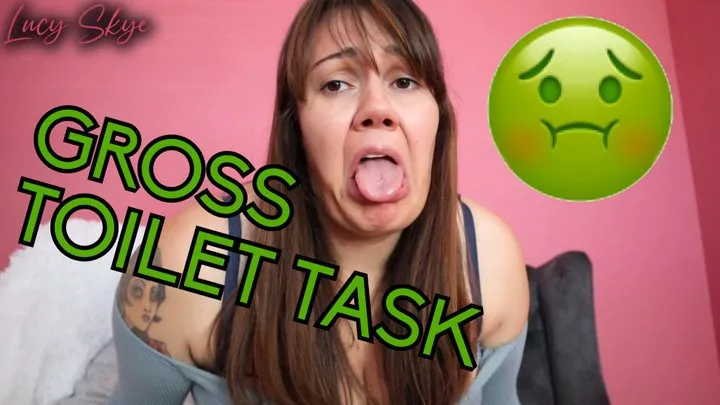 Gross Toilet Task