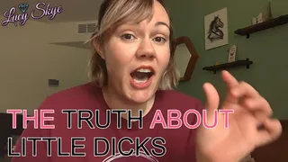 The truth about little dicks