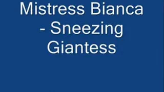 Sneezing Giantess