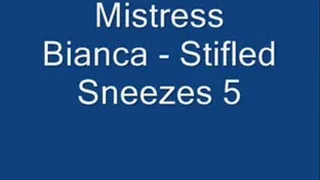 Stifled Sneezes 5