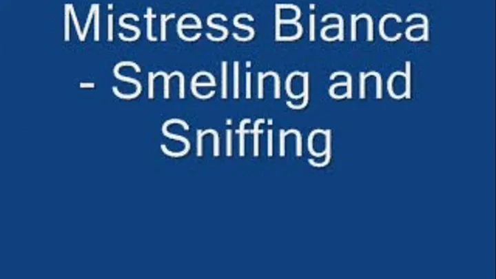 Smelling and Sniffing