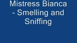 Smelling and Sniffing