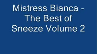 The Best of Sneeze Volume 2