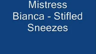 Stifled Sneezes