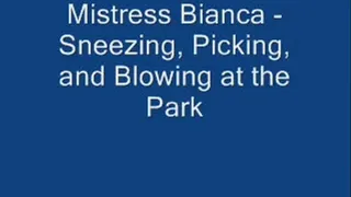 Sneezing, Picking and Blowing at the Park