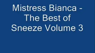 The Best of Sneeze Volume 3