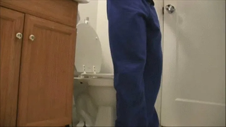 Daily Toilet Voyeur - Day 191