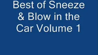 Best Of Car Scenes Volume 1
