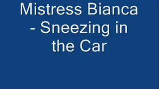 Sneezing In The Car