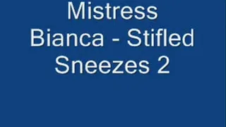 Stifled Sneezes 2