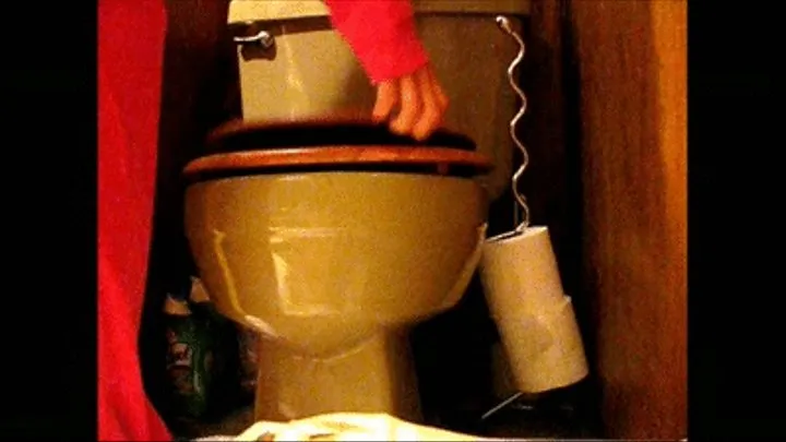 Daily Toilet Voyeur --- Day 185