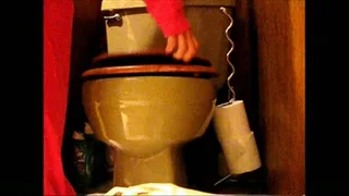 Daily Toilet Voyeur -- Day 185