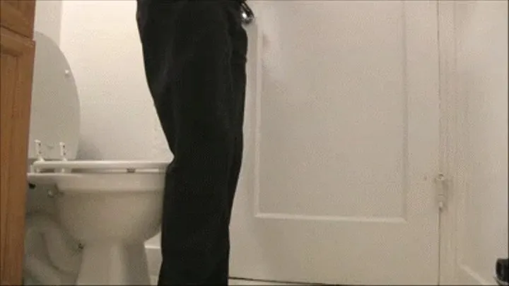 Daily Toilet Voyeur - Day 161