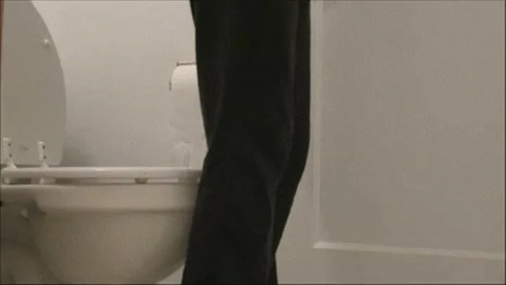 Daily Toilet Voyeur -- Day 167