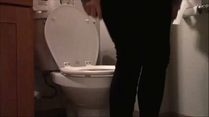 Daily Toilet Voyeur - Day 227!