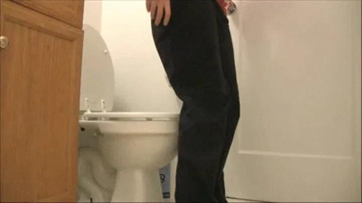 Daily Toilet Voyeur -- Day 166