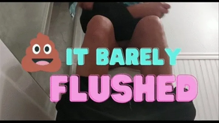 It Barely Flushed!!!