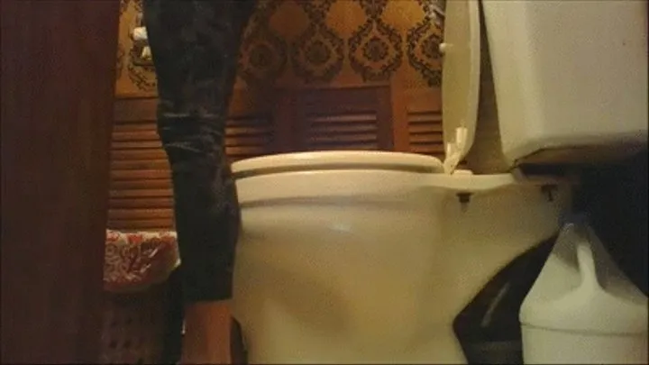 Daily Toilet Voyeur - Day 208!!