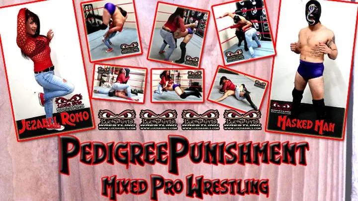 1529-Pedigree Punishment ~ Mixed Pro Wrestling