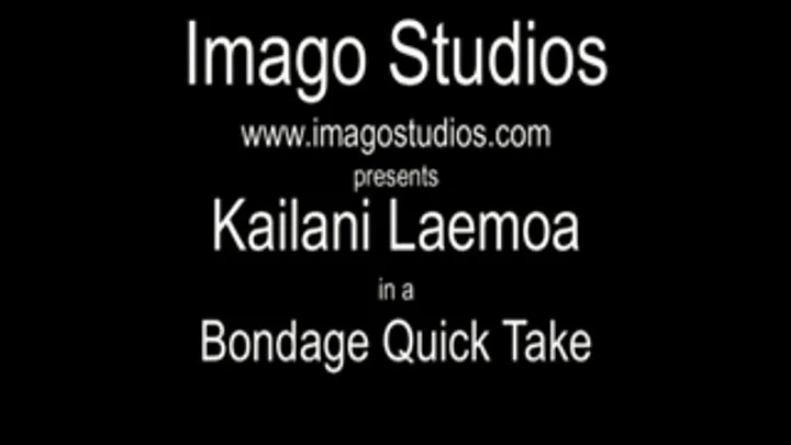 QT0005 Kailani Laemoa (is-qt-kl001)