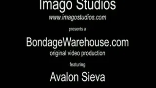 Avalon Sieva - Through the House Escape Attempt - IS-BW00030 - Hi Res