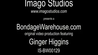 Ginger Higgins - Tour Guide vs - IS-BW00129