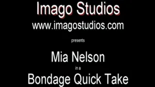 QT0137 Mia Nelson (is-qt-mn004)