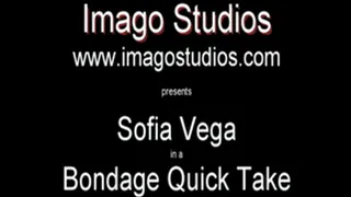 QT0153 Sofia Vega (is-qt-sv007)