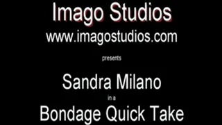 QT0146 Sandra Milano (is-qt-sandram001)