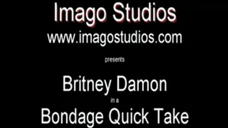 QT0152 Britney Damon (is-qt-bd009)