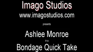 QT0151 Ashlee Monroe (is-qt-asmo008)