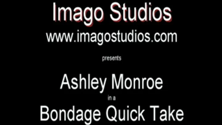 QT0101 Ashlee Monroe (is-qt-asmo006)