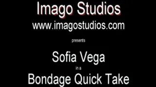 QT0104 Sofia Vega (is-qt-sv005)