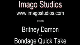 QT0106 Britney Damon (is-qt-bd004)