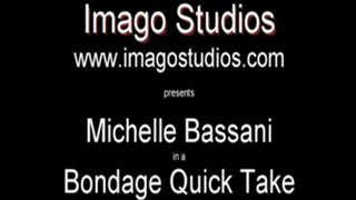 QT0096 Michelle Bassani (is-qt-mb003)