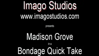 QT0125 Madison Grove (is-qt-mg004)