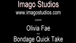 QT0121 Olivia Fae (is-qt-of002)
