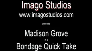 QT0088 Madison Grove (is-qt-mg002)