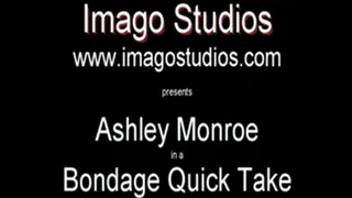 QT0087 Ashlee Monroe (is-qt-asmo004)