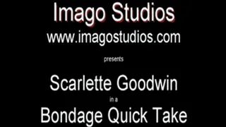 QT0071 Scarlette Goodwin (is-qt-sg001)